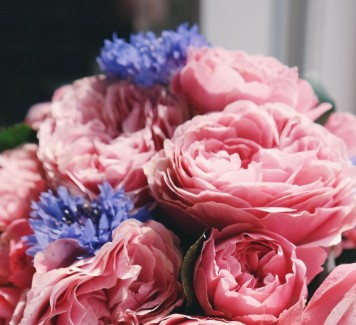 Regalare un bouquet di fiori: quali scegliere