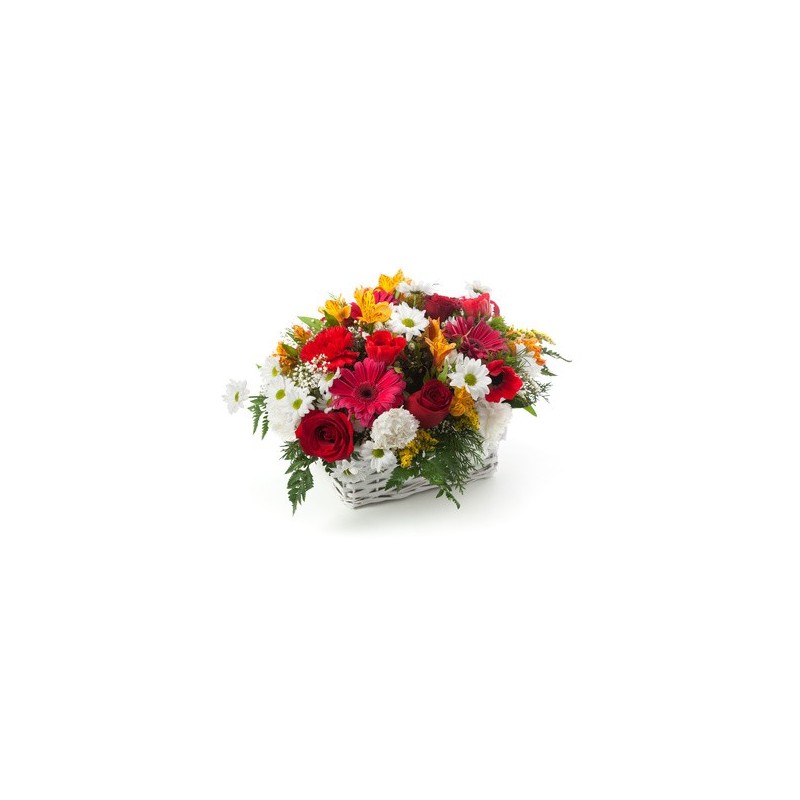 Cesto con rose rosse gerbere margherite bianche 