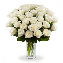 20 de trandafiri albi cu verde, fructe de padure si frunze verzi