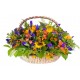 Grand panier de Tournesols, iris, roses, orange et fruits rouges
