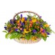 Large basket of Sunflowers, iris, roses orange and red berries