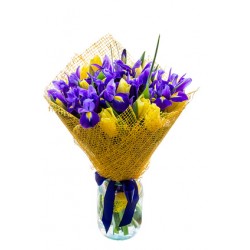 Buchet de iris albastru și lalele, galben