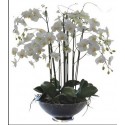 Біла орхідея в скляній вазі з 6 або більше гілок