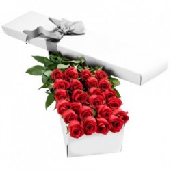 7 Rosas rojas en una caja, en la inolvidable emoción!