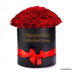 Box special love