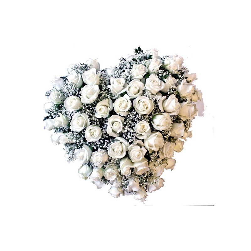 Crown media rose pink 