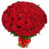 Cento piccole Rosse per TE!
