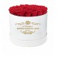ROSES SPECIAL BOX 