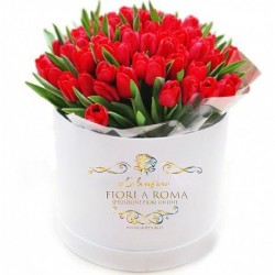 Box special red tulips
