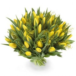  Tulipani gialli e mimosa