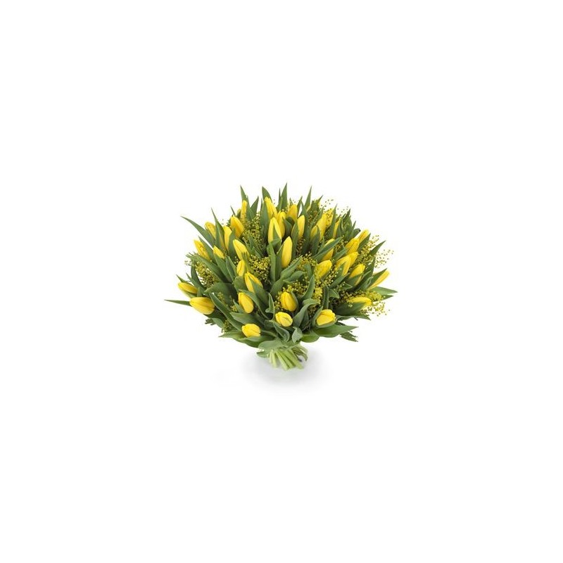 Mimosa 11 -Margarete rosii alstroemerie cu ramuri mimosa