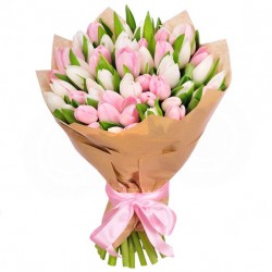Tulipani rosa