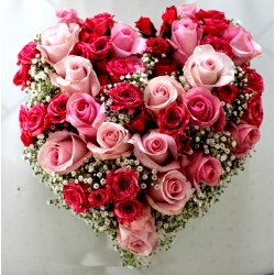 Cuore mix rose 