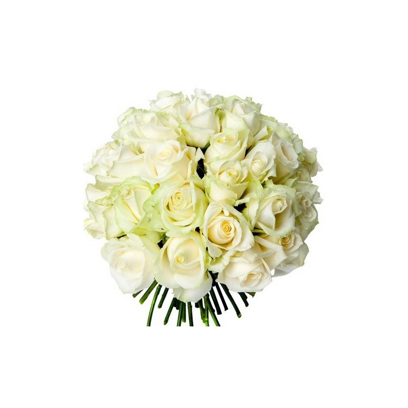 Bouquet avalanche 
