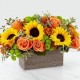 Composizione girasoli e rose