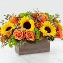 Composizione girasoli e rose