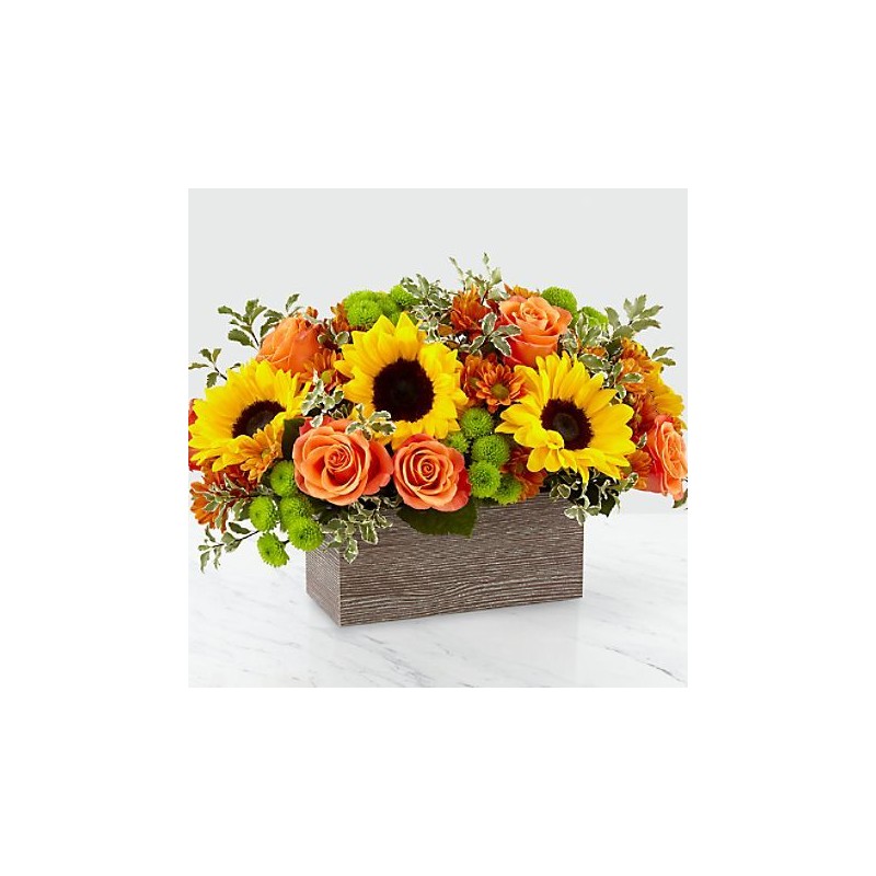 Composizione girasoli e rose
