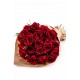 Piccolo grande Amore