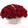Solo Per Te rose rosse e chissà...