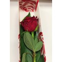 1 Rosa in scatola
