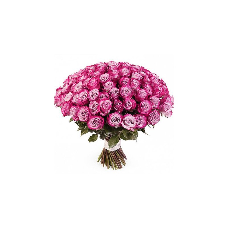 Bouque di rosa deep purple