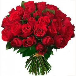   24 Rose Rosse medie