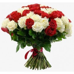 18 rosse e 18 bianche 