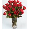 Rosse senza tempo 