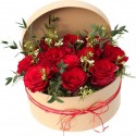 Rosse in box