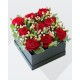 Rosse in box