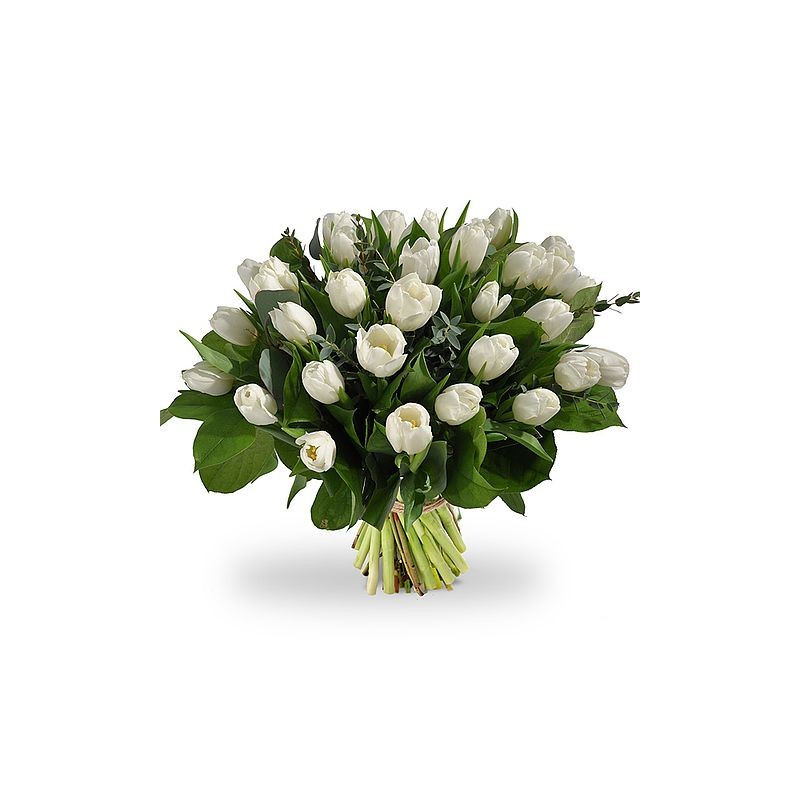Tulipani bianchi