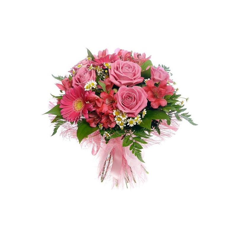 Piccolo di rose rosa