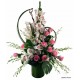 Cymbidium Imperial