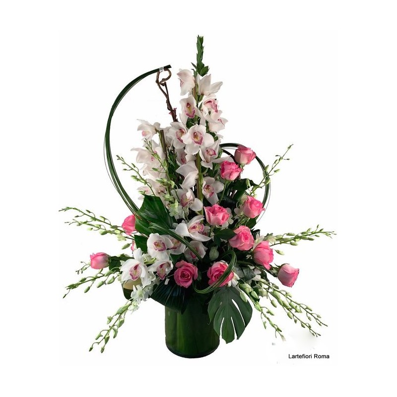 Cymbidium Imperial