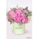 Peonie in Box