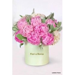 Peonie in Box