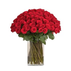 Rose rosse per te.