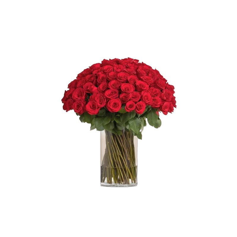 Sempre rosse per te.