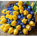 Mimosa7 - Bouquet solar