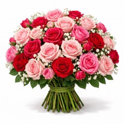 Dos docenas de crema de rosas y rosa fucsia