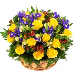 Combinație de 12 trandafiri galbeni fructe de padure rosii si albastru iris
