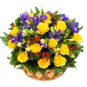 Combinazione di 12 rose gialle bacche rosse e iris blu