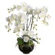 L'orchidée blanche 4 branches