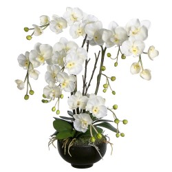  Orquídea blanca 4 sucursales en el florero 