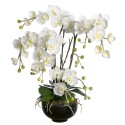  L'orchidée blanche 4 branches dans un vase 