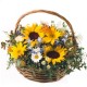 Sun basket