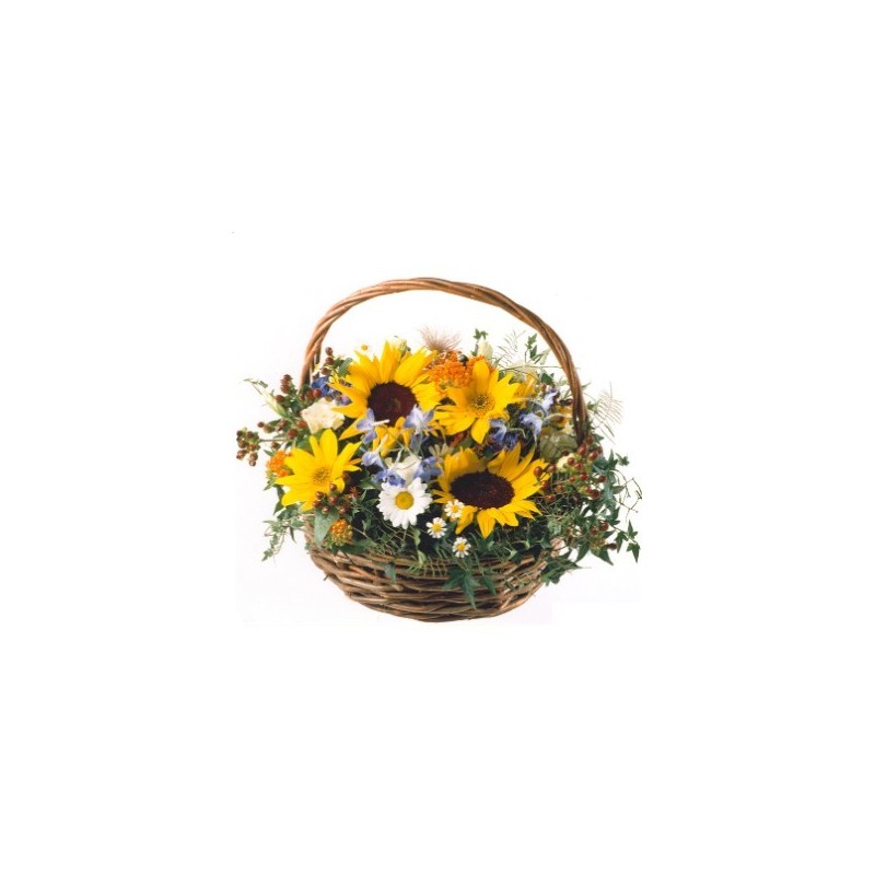 Sun basket