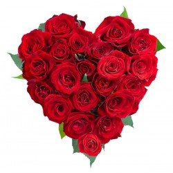 Cuore di 21 rose rosse