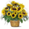 Basket with sunflowers