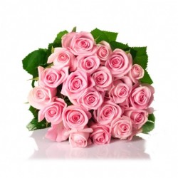 Букет з двох десятків троянд ніжно-рожевого.